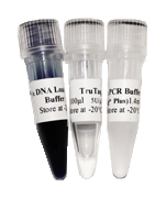 TruTaq Polymerase (500 Units)